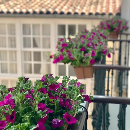 Casa Celsa-barbantes Guest house 2*