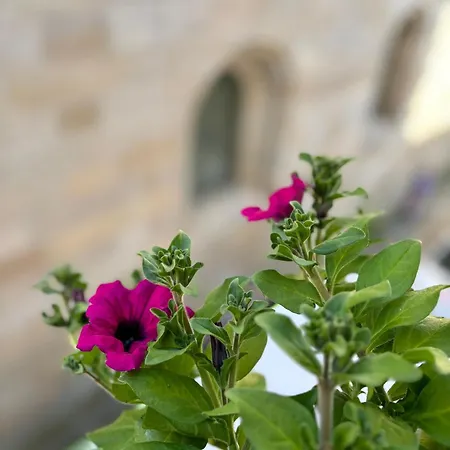 ゲストハウス Casa Celsa-barbantes サンティアゴ・デ・コンポステーラ