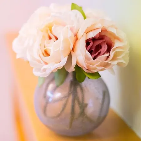 Casa Celsa-barbantes 4* サンティアゴ・デ・コンポステーラ