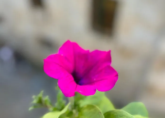 Casa Celsa-barbantes Maison d'hôtes