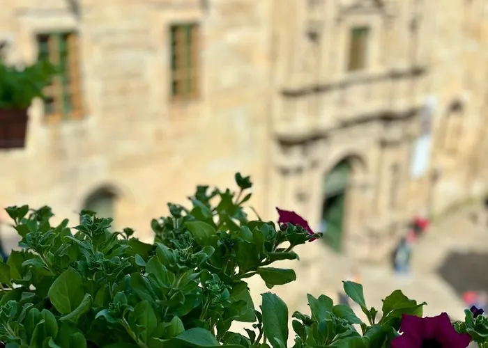 Konukevi Casa Celsa-barbantes