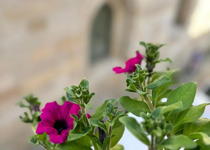 Konukevi Casa Celsa-barbantes Santiago de Compostela