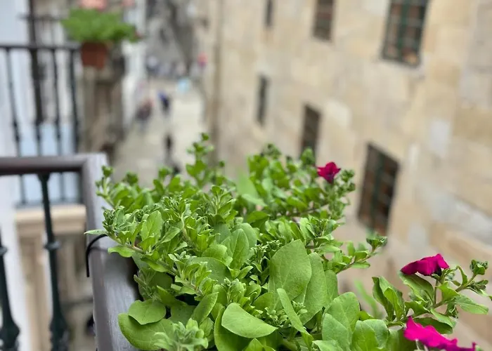 Maison d'hôtes Casa Celsa-barbantes Saint-Jacques-de-Compostelle